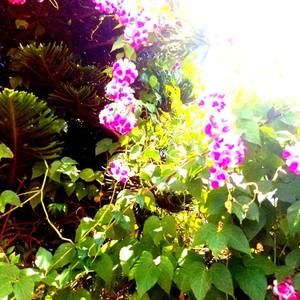 Meet your Posher, Jesus